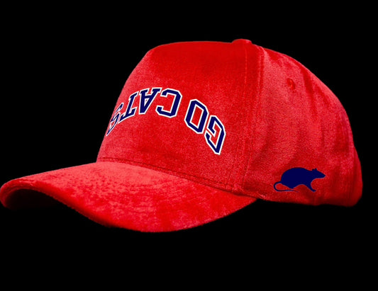 Red "Go Cats" Florida Panthers Theme Velvet Snapback